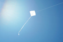 Load image into Gallery viewer, Sail Kites