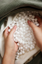 Load image into Gallery viewer, Seal Edition One