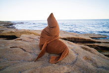 Load image into Gallery viewer, Seal Edition One