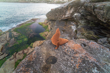 Load image into Gallery viewer, Seal Edition One